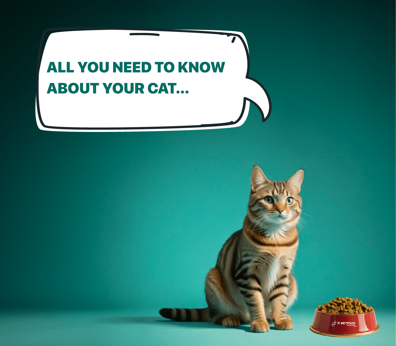 About Cats