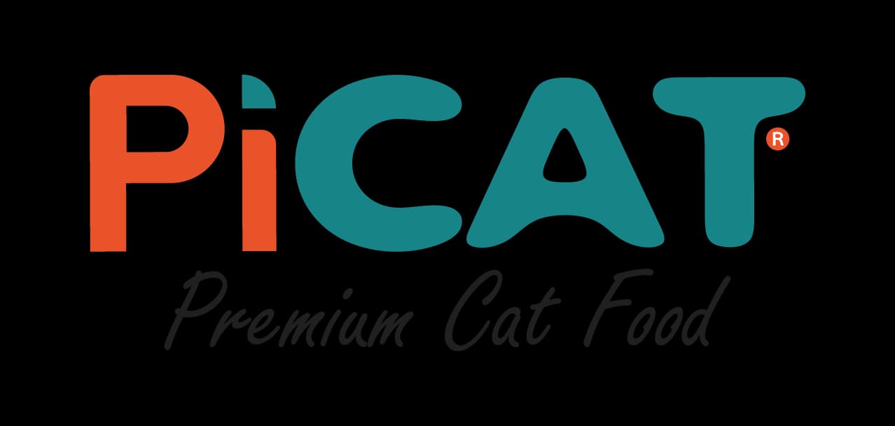 Pi Cat logo